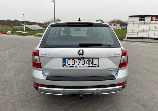 Skoda Octavia cena 64900 przebieg: 252890, rok produkcji 2019 z Chełmno małe 154